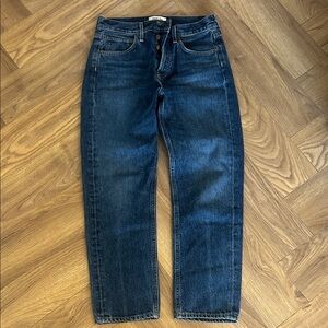 Agolde Dark Indigo Straight Parker Jeans